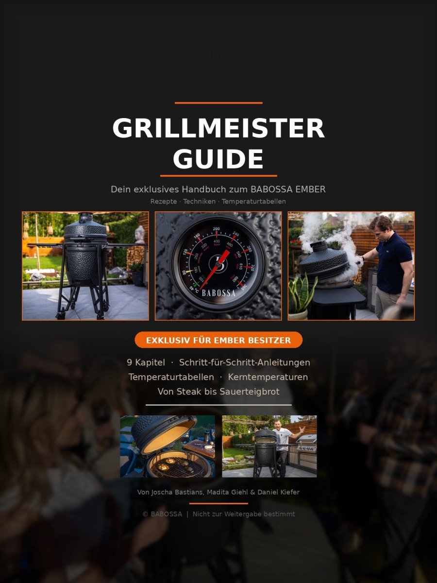 BABOSSA Grillmeister Guide - grillstir.comBABOSSA Grillmeister GuideBuchBABOSSAgrillstir.com