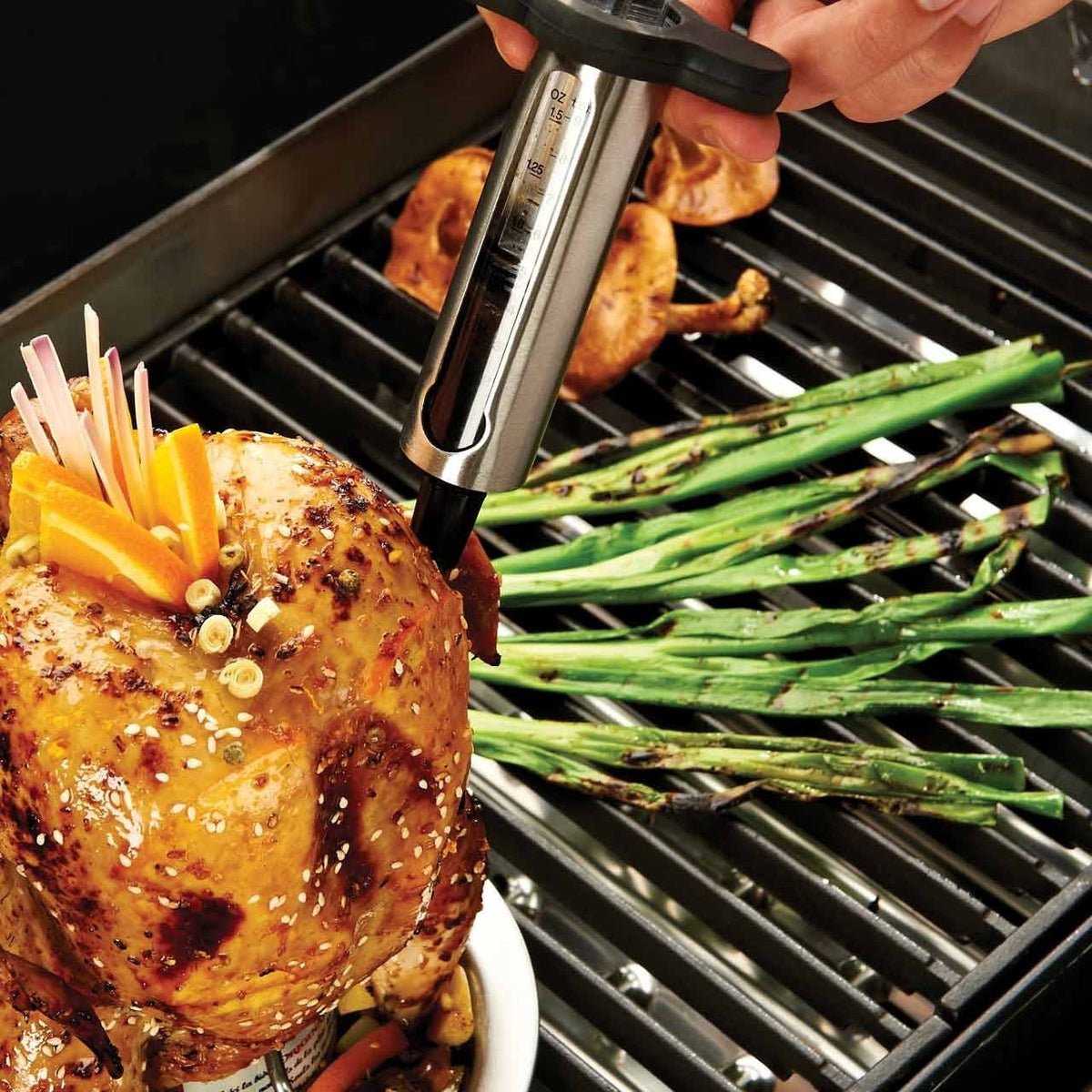 Broil King Marinadenspritze - grillstir.comBroil King MarinadenspritzeBroil Kinggrillstir.com614950060162614958