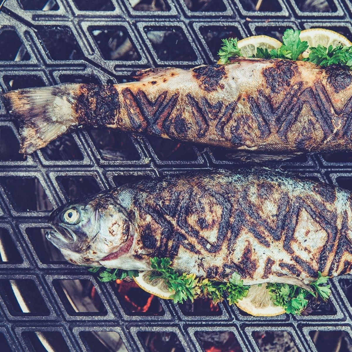 Höfats Gussrost, CONE - grillstir.comHöfats Gussrost, CONEHöfatsgrillstir.comH0103014260447330054