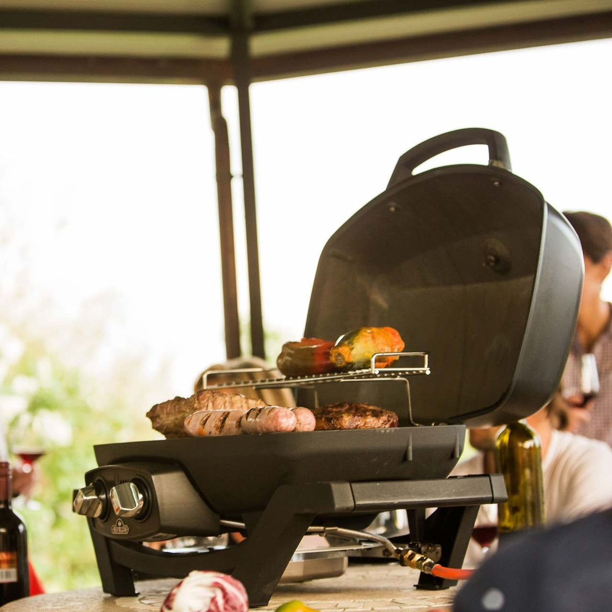 Napoleon TRAVELQ PRO285 - grillstir.comNapoleon TRAVELQ PRO285Napoleongrillstir.comPRO285 - BK0629162119261