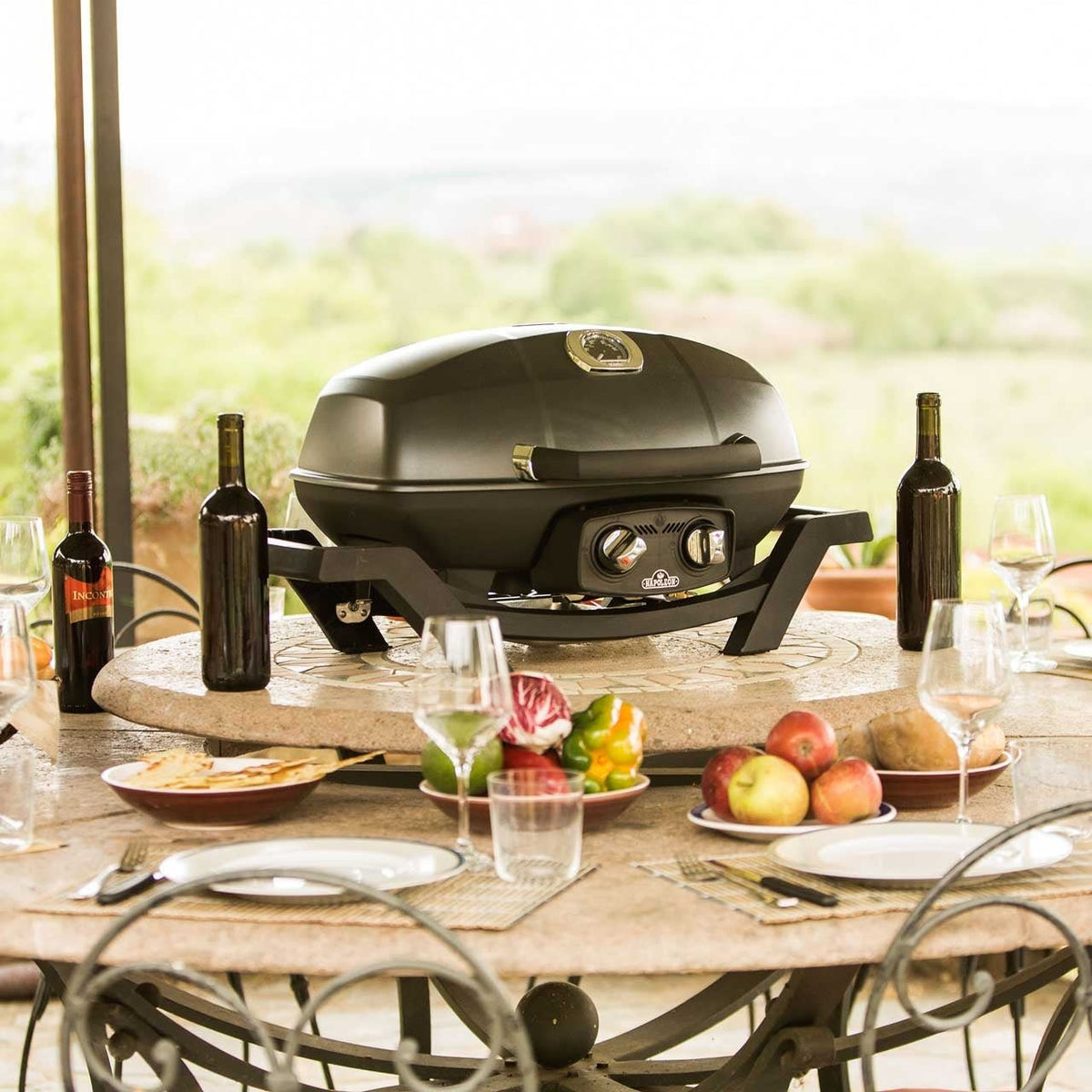 Napoleon TRAVELQ PRO285 - grillstir.comNapoleon TRAVELQ PRO285Napoleongrillstir.comPRO285 - BK0629162119261