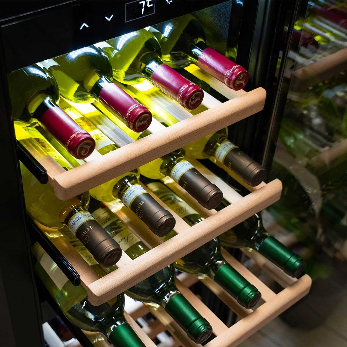 Caso WineExclusive 38 Smart Weinkühlschrank - grillstir.comCaso WineExclusive 38 Smart WeinkühlschrankCASOgrillstir.comcg7214038437007213
