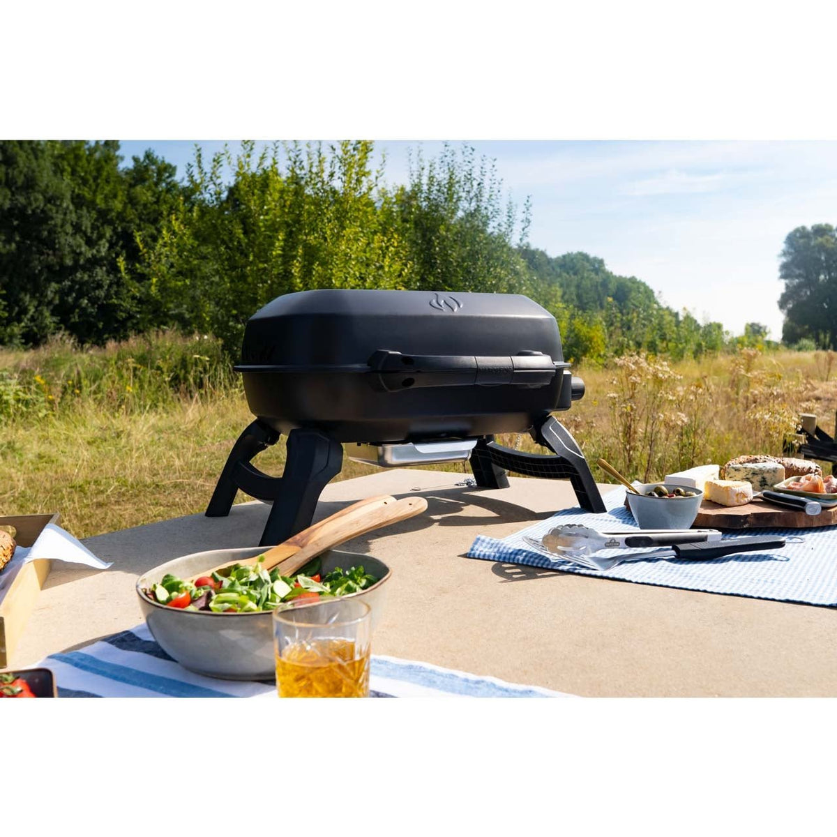Napoleon TravelQ 240, Camping - Gasgrill, klappbar in schwarz - grillstir.comNapoleon TravelQ 240, Camping - Gasgrill, klappbar in schwarzNapoleongrillstir.comTQ240 - BK - DE0629162147882